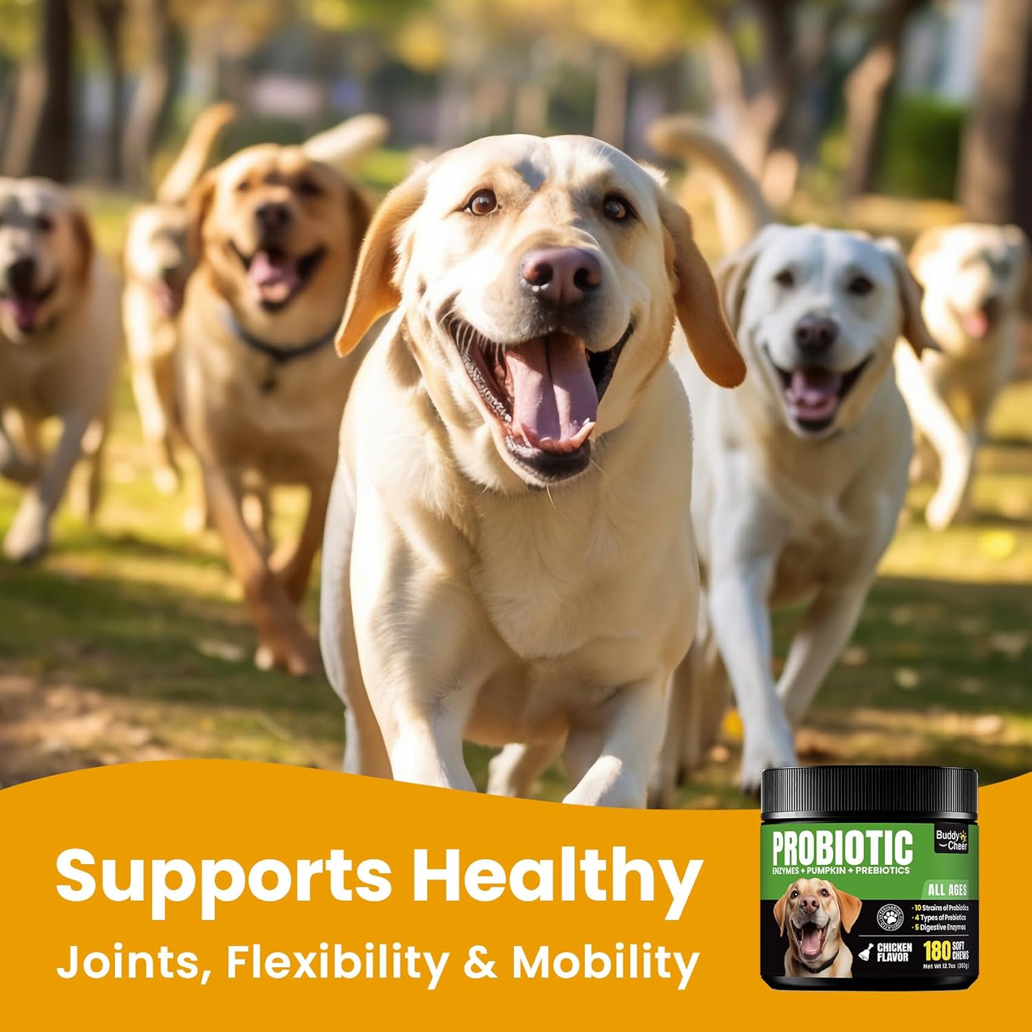 Probiotics for Dogs – Digestive Support Soft Chews with Prebiotics & Enzymes – Supports Gut Health & Tummy Comfort, Helps Ease Gas & Bloating – 180 Chews