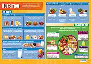 Nutrition | PE Posters | Gloss Paper measuring 850mm x 594mm (A1) | Physical Education Charts for the Classroom | Education Charts by Daydream Education