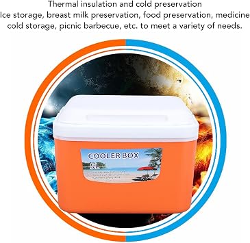5L Insulated Cooler Box, Portable Hard Ice Chest with Handle, Lightweight Food Storage Container for Camping Car Travel