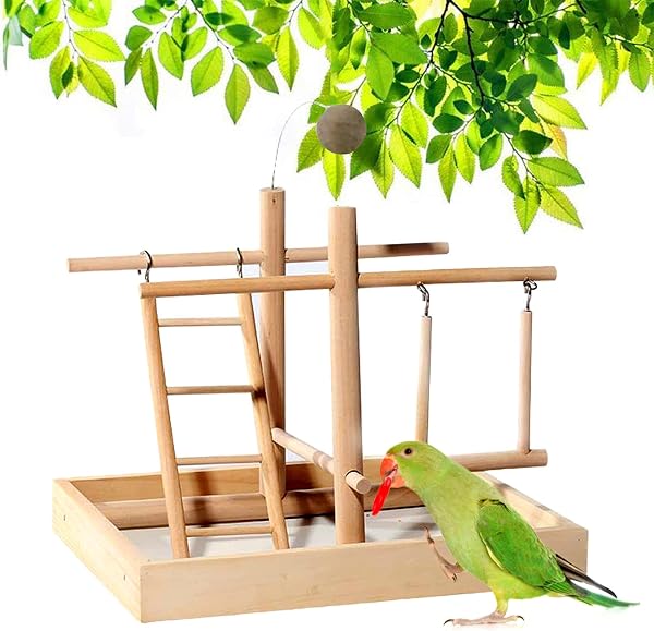 CHSEEO Supporto per Pappagallo Portatile da Tavolo con Scala Altalena, Supporto per Uccelli in Legno, Palestra, legno persico, Giochi per uccelli per esercizi, 28 x 22 x 23 CM - 1