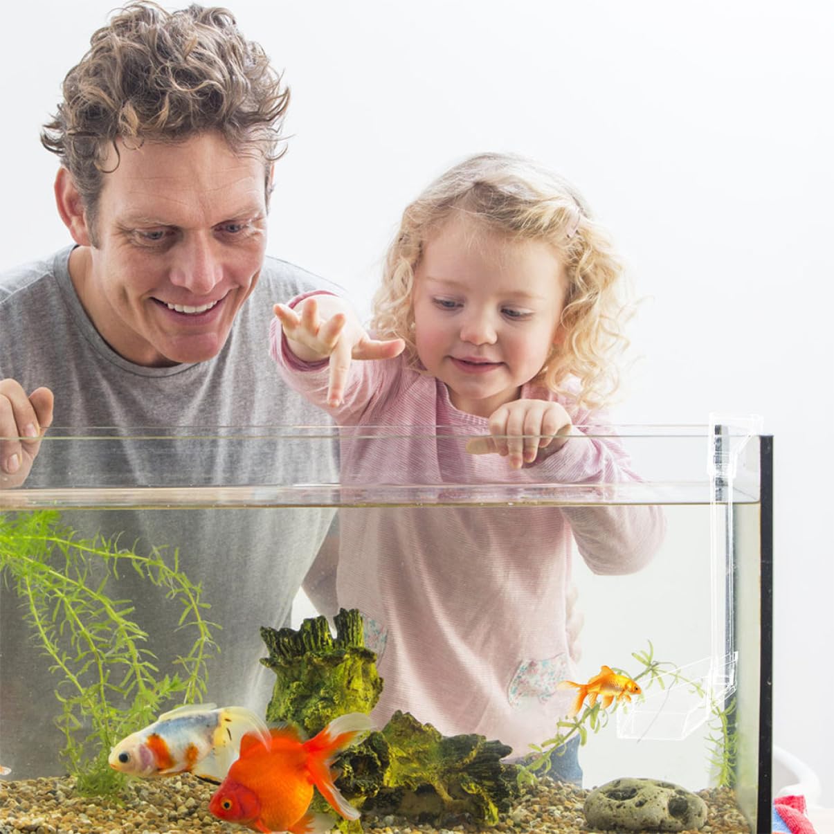 POPETPOP 3pièces Distributeur Transparent pour Aquarium Tube Alimentation Pratique pour Crevettes Et Poissons Fixation avec Ventouses Conception Anti-Pollution