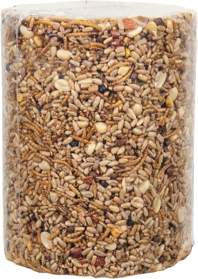 JCs Wildlife Bugs Nuts and Berries Premium Bird Seed Large Cylinder with Hole, 3.8 lb (1)