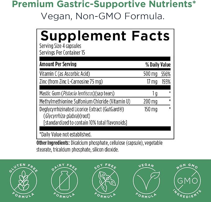 GastroMend-HP