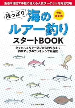 ルアーづり入門 Amazon.co.jp: 初めてのルアー入門セット サーフルアープラグ