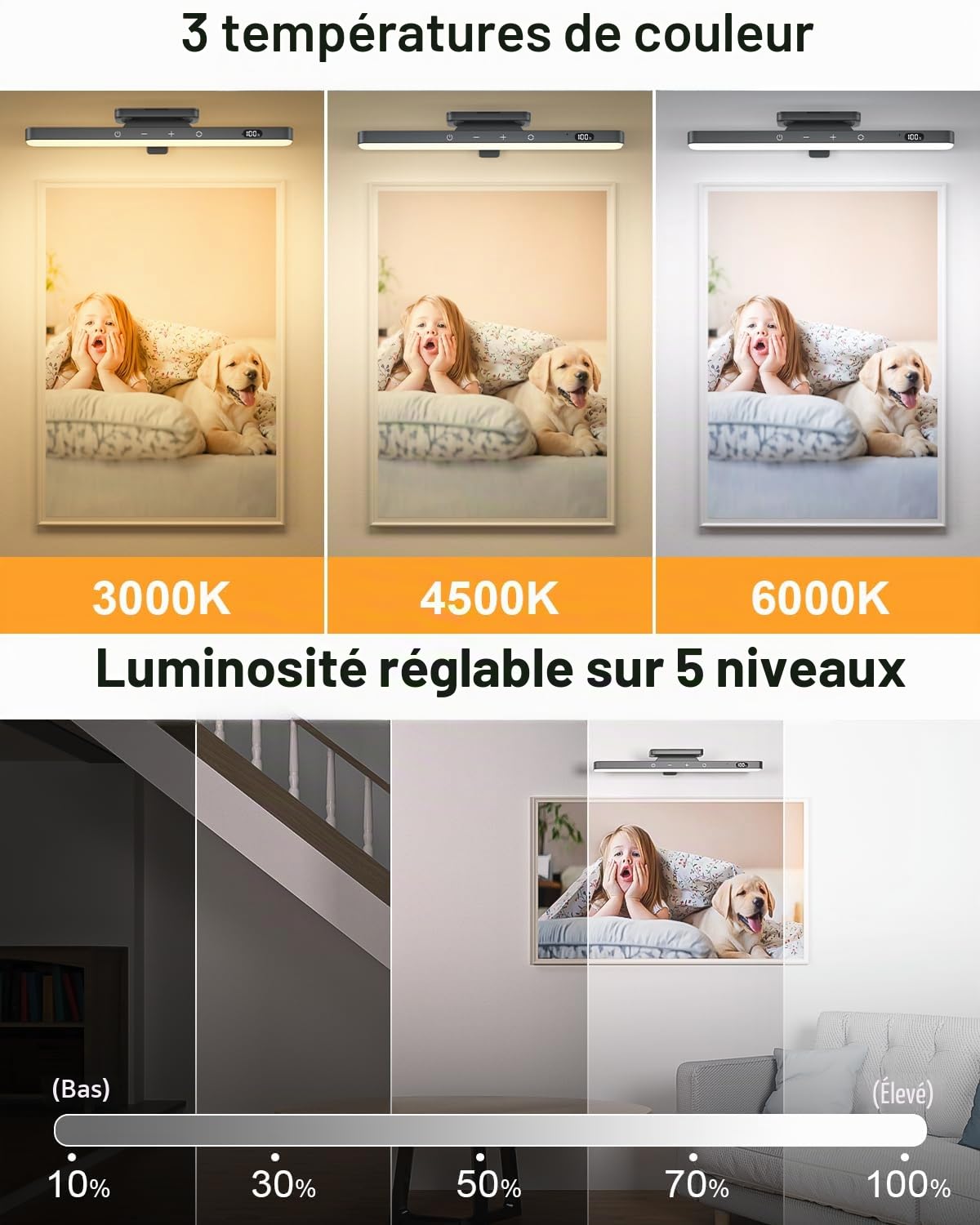 WILLED Applique Murale pour Tableaux, 5W Rechargeable Éclairage Tableau avec Télécommande, 3 Températures de Couleur et fonction minuterie, Dimmable Lampe LED Sans Fil pour Cible de Fléchettes, Noir