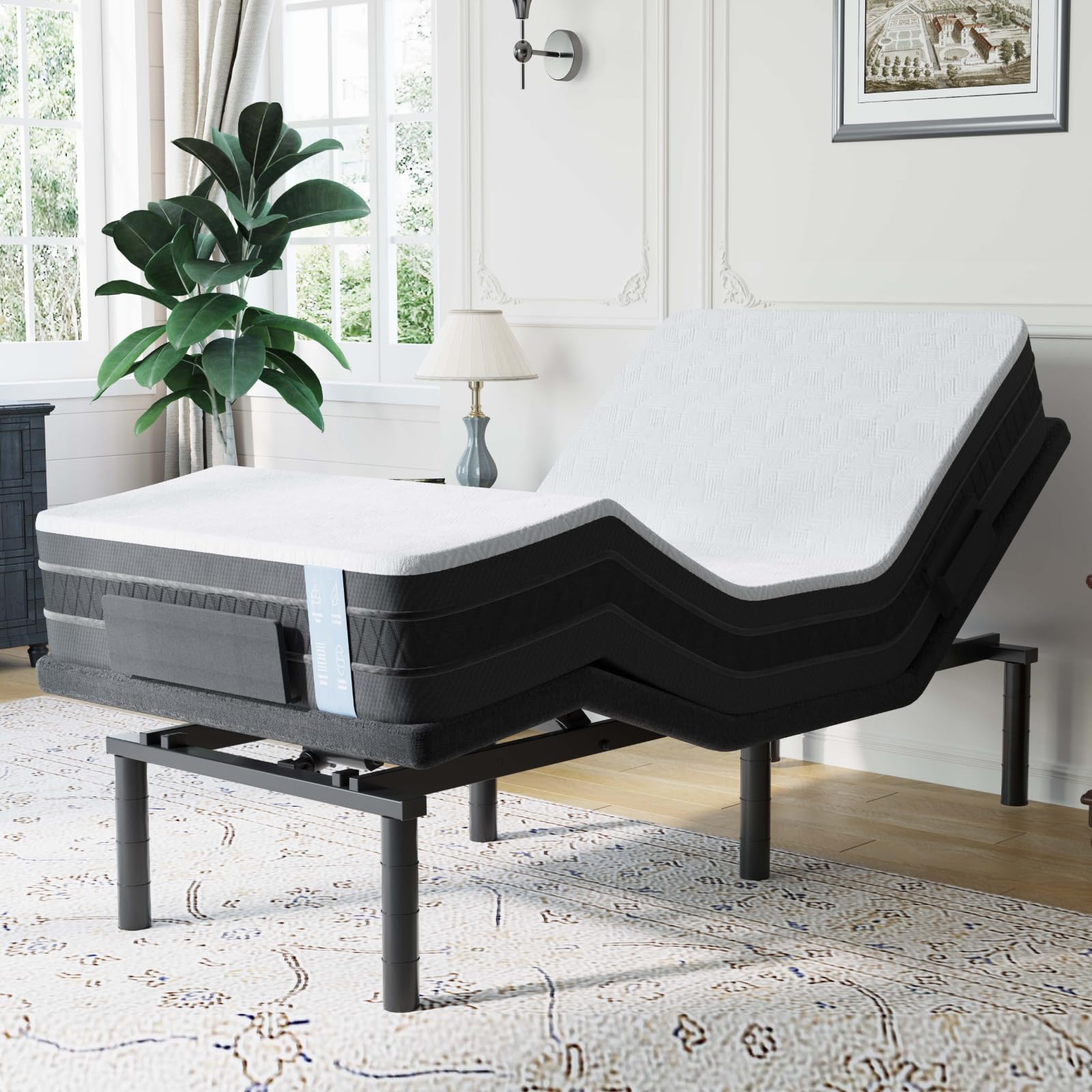 Amazon.com: FLEXISPOT S6 Adjustable Bed Frame Base Twin XL+10-inch