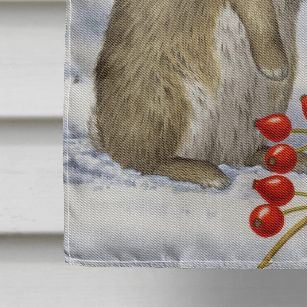 Caroline's Treasures ASA2035CHF Rabbit with Berries House Flag Large Porch Sleeve Pole Decorative Outside Yard Banner Artwork Wall Hanging, Polyester, House Size, Multicolor