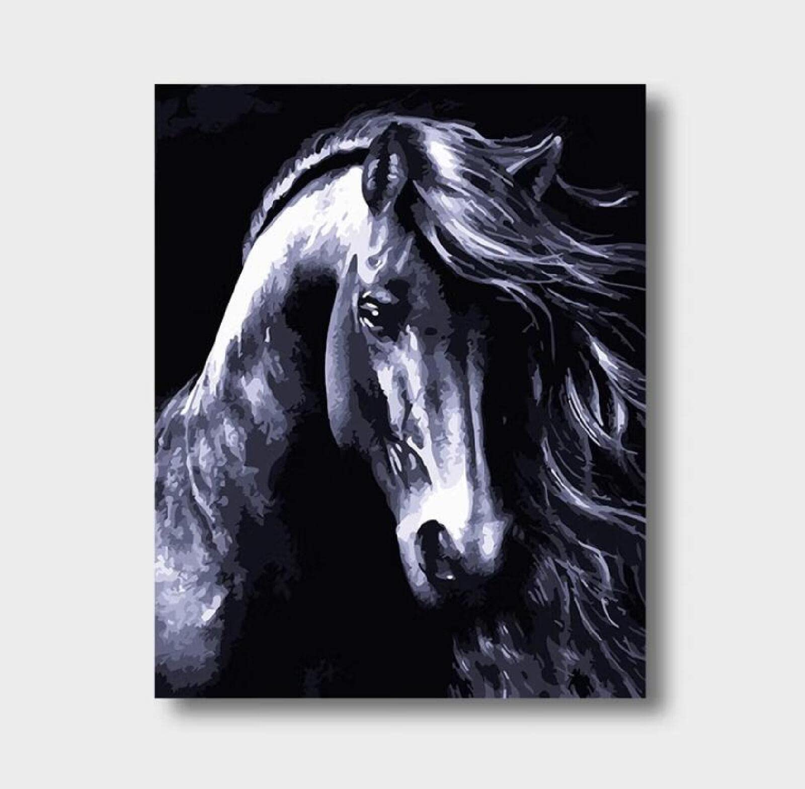 ABEUTY Malen Nach Zahlen „Dunkles Pferd“ | 40x50 Cm Leinwand, Inkl. Farben & Pinsel