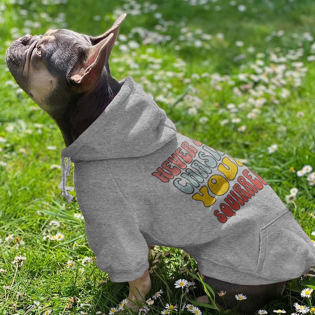 Never Stop Chasing Dog Hoodie with Pocket - Dog Gifts - Items for Pets - Gray, XL