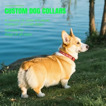 Personalised Dog Collar with Name & Phone, Reflective Nylon Adjustable