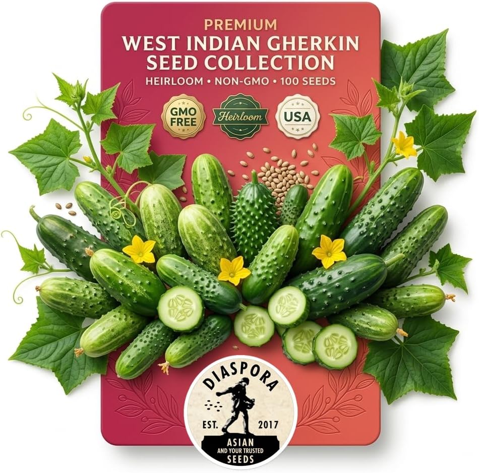 West Indian Gherkin (Cucumis Anguria) Burr Cucumber, 100~vegetable Seeds, Heirloom