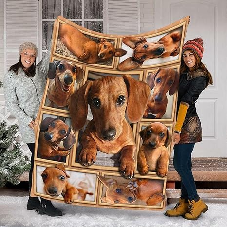 dachshund blanket amazon