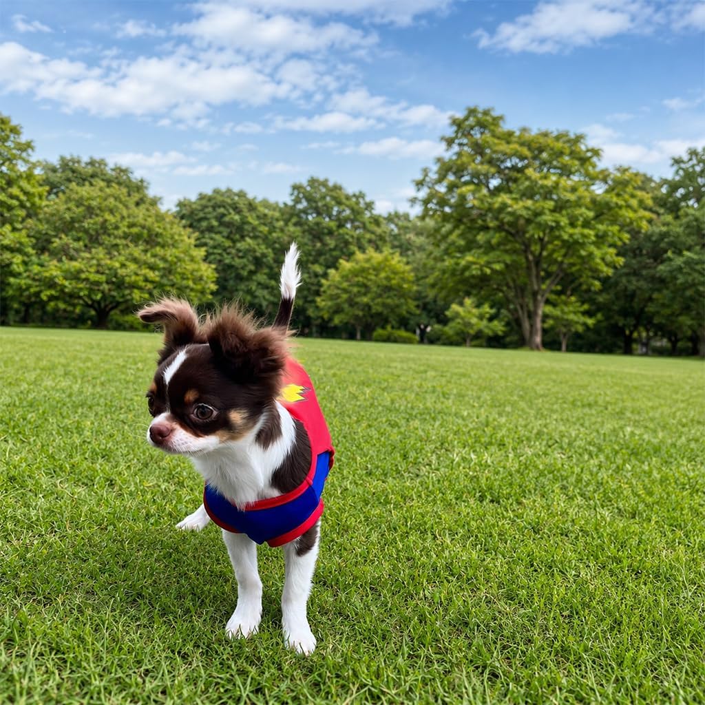 Mighty Supa Man Pet Costume with Cape - Small Breed Dog Funny Clothes Outfit Apparel (Small)