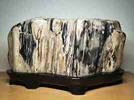 珪化木 16kg ジャスパー 碧玉 原石 鑑賞石 自然石 水石 誕生石 鉱物 71dRj8oL5HL._AC_SY200_QL15_.jpg