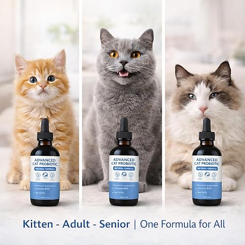 Miniatura 7 de Gotas probióticas avanzadas para gatos, apoya la salud digestiva e inmunológica, fórmula líquida fácil de usar, sabor a tocino, funciona para todos