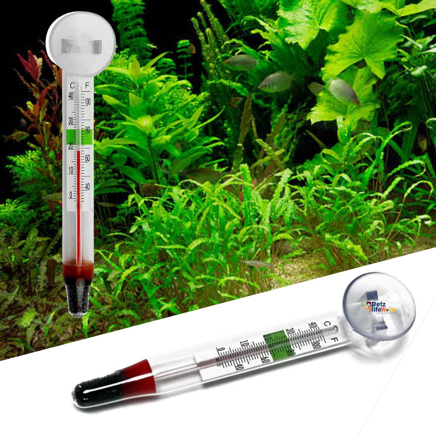 VAYINATO® (Pack of 1) Aquarium Glass Thermometer for Temperature Measurement with Srong Suction Cup by Petzlifeworld (B0CK5HRDR5) Amazon Price History, Amazon Price Tracker