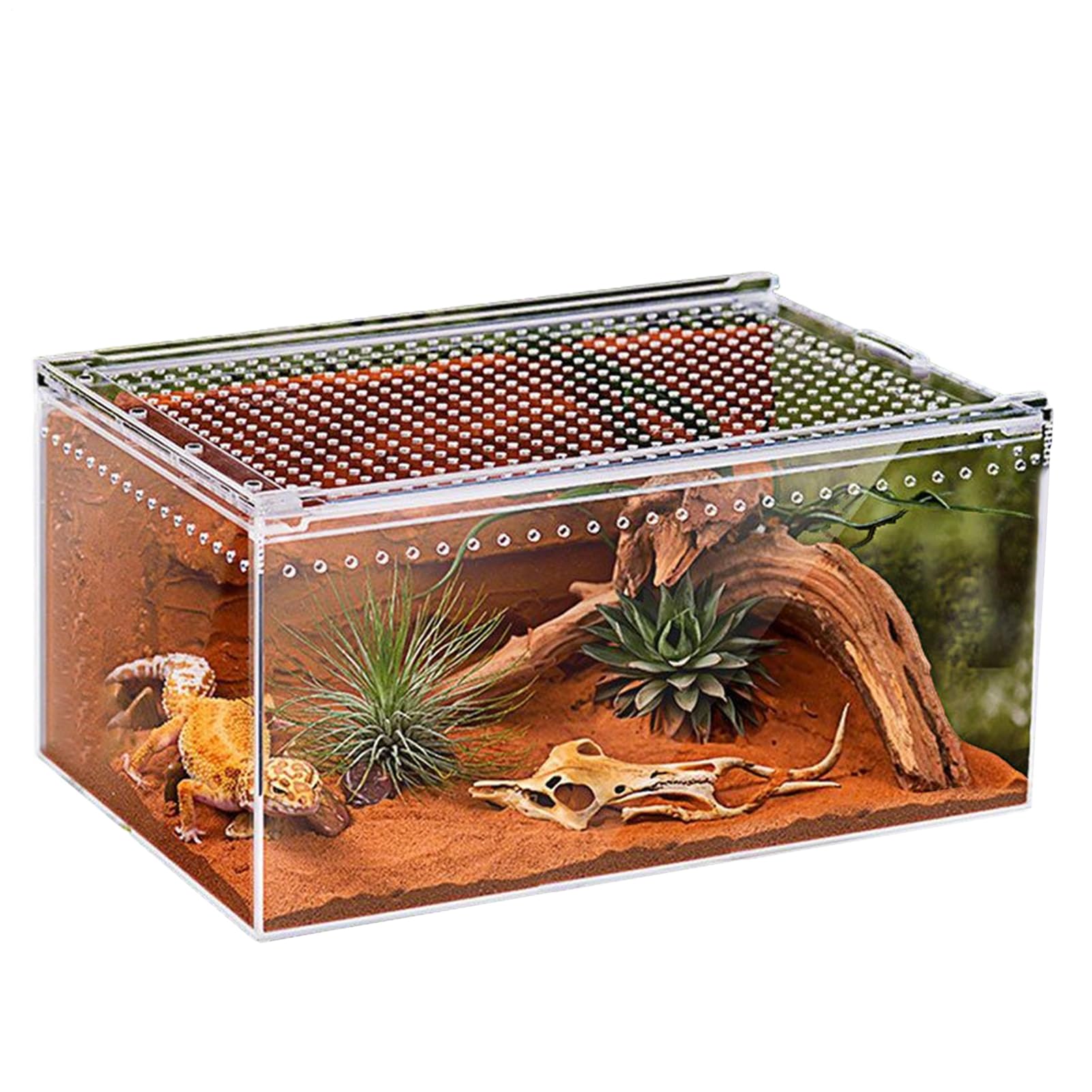 Terrario para Reptiles Terrario Acrílico Ventilado Transparente para | Recinto Para Mantis Y Jaula De Cría Para Lagartos Para Mantis Religiosa Gecko Serpiente Tortuga Dragón Barbudo