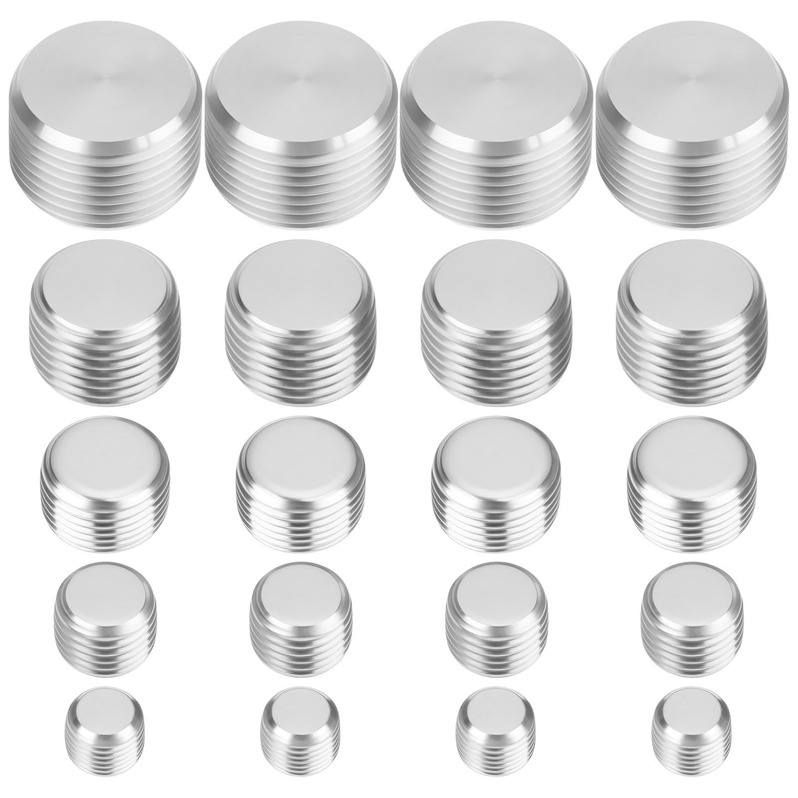 Tapones NPT ECSiNG de acero inoxidable en 5 tamaños para tuberías industriales