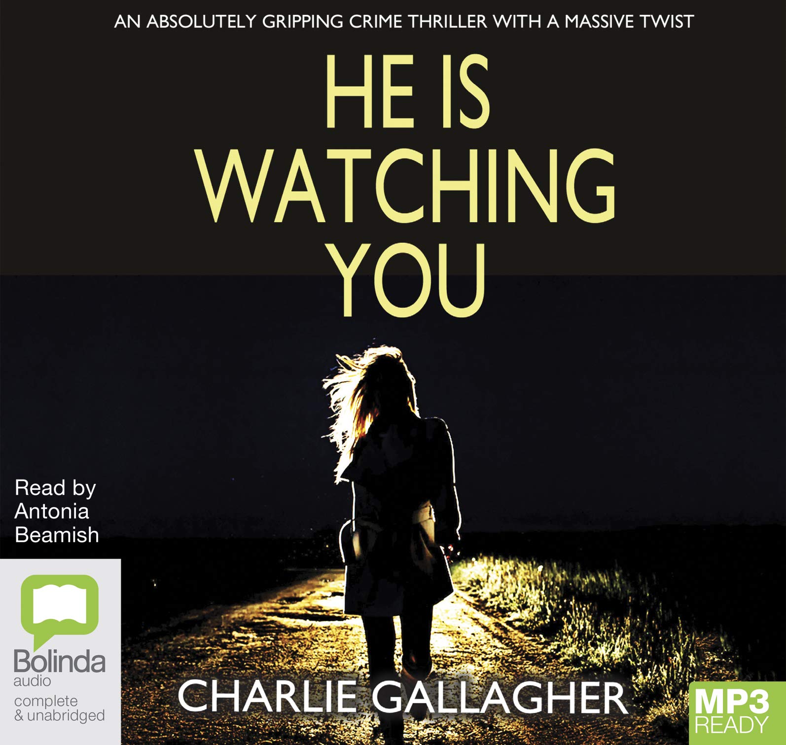 He is Watching You (Detective Maddie Ives, Band 1)