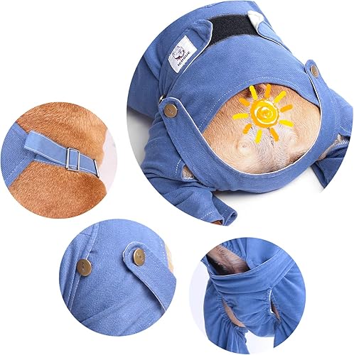 Miniatura 3 de iChoue Lindos pañales para perro con tirantes para bulldog francés, pug francés, bulldog inglés, hembra, en ciclo de calor, azul, talla M, con 2