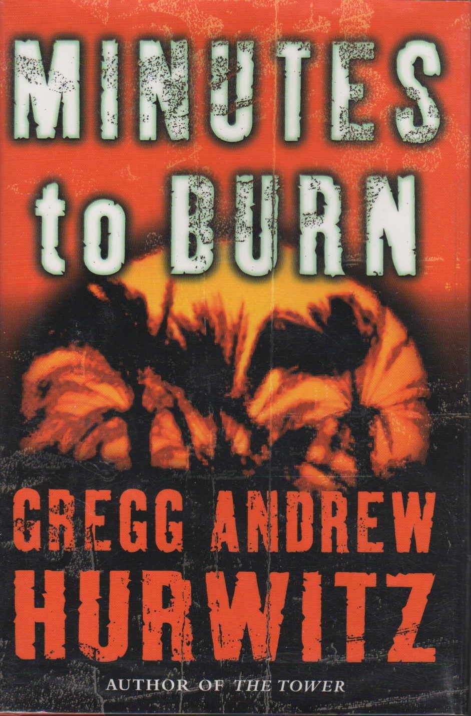 Buy Minutes to Burn — BookShops.in