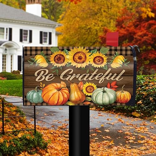 Vista 15 de Briarwood Lane Harvest Turkey Fall Magnetic Thanksgiving Buzón Cubierta Otoño Calabazas Estándar Cosecha Turquía