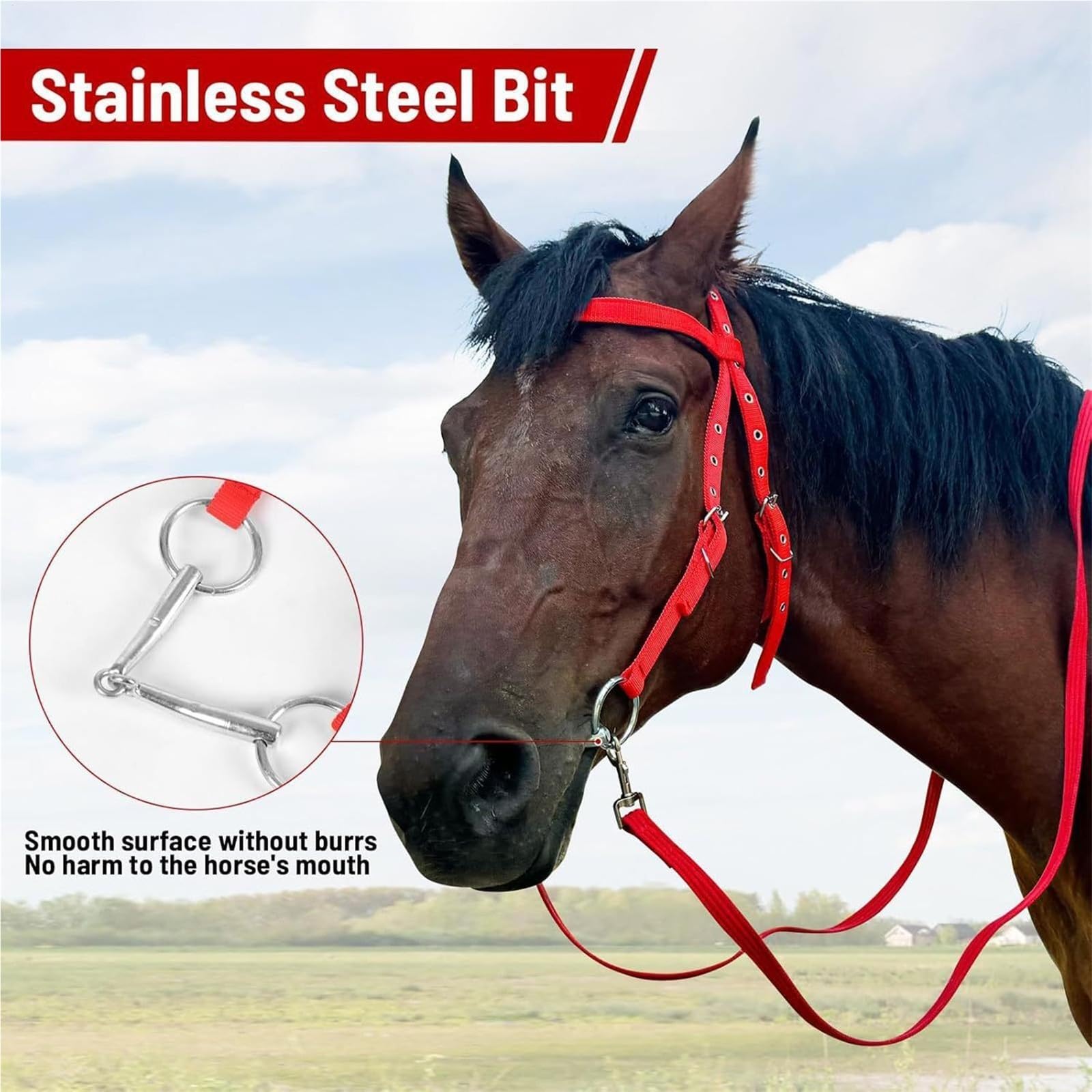 Cavezza Per Cavallo Filetto regolabile Capezzina in nylon Redini equini foderati Forniture equestri for equitazione(S)