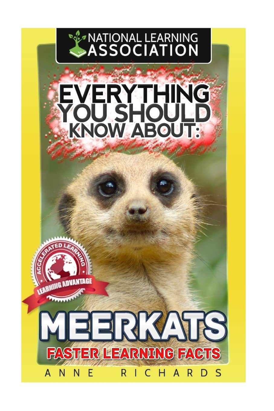 Everything You Should Know About: MEERKATS Faster Learning Facts