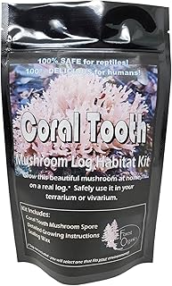 Coral Tooth Mushroom Growing Habitat Log Kit - 100% Organic, Safe for Rapltiels & Humans - Easy to Grow