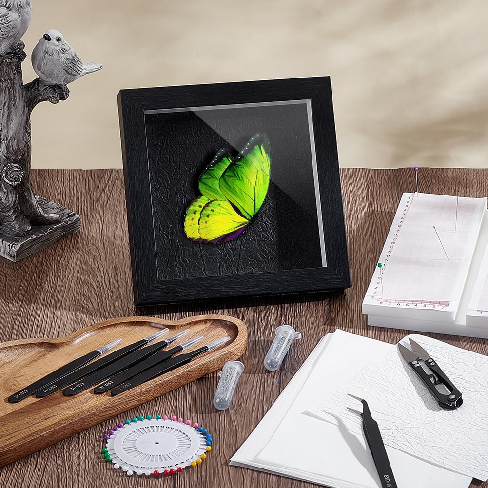 PH PandaHall Insect Display Case Insect Specimen Tools Kit Bug Display Case Collection Box Entomology Kit Foam Pinning Board Butterfly Pins Coordinate Paper for Beginners Classroom Teaching