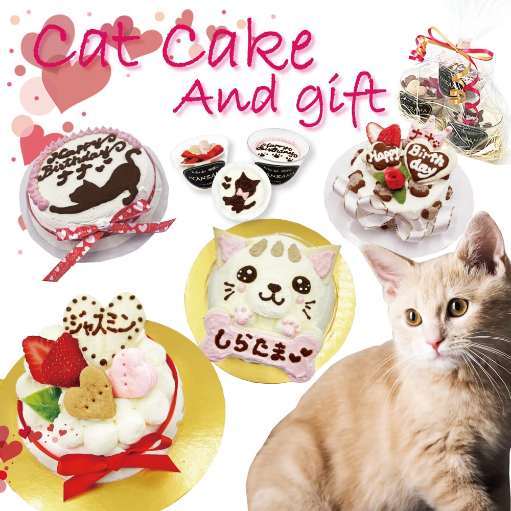 Amazon | 帝塚山ワンバナ 猫用 カップケーキ3個セット/ ササミと鰹節
