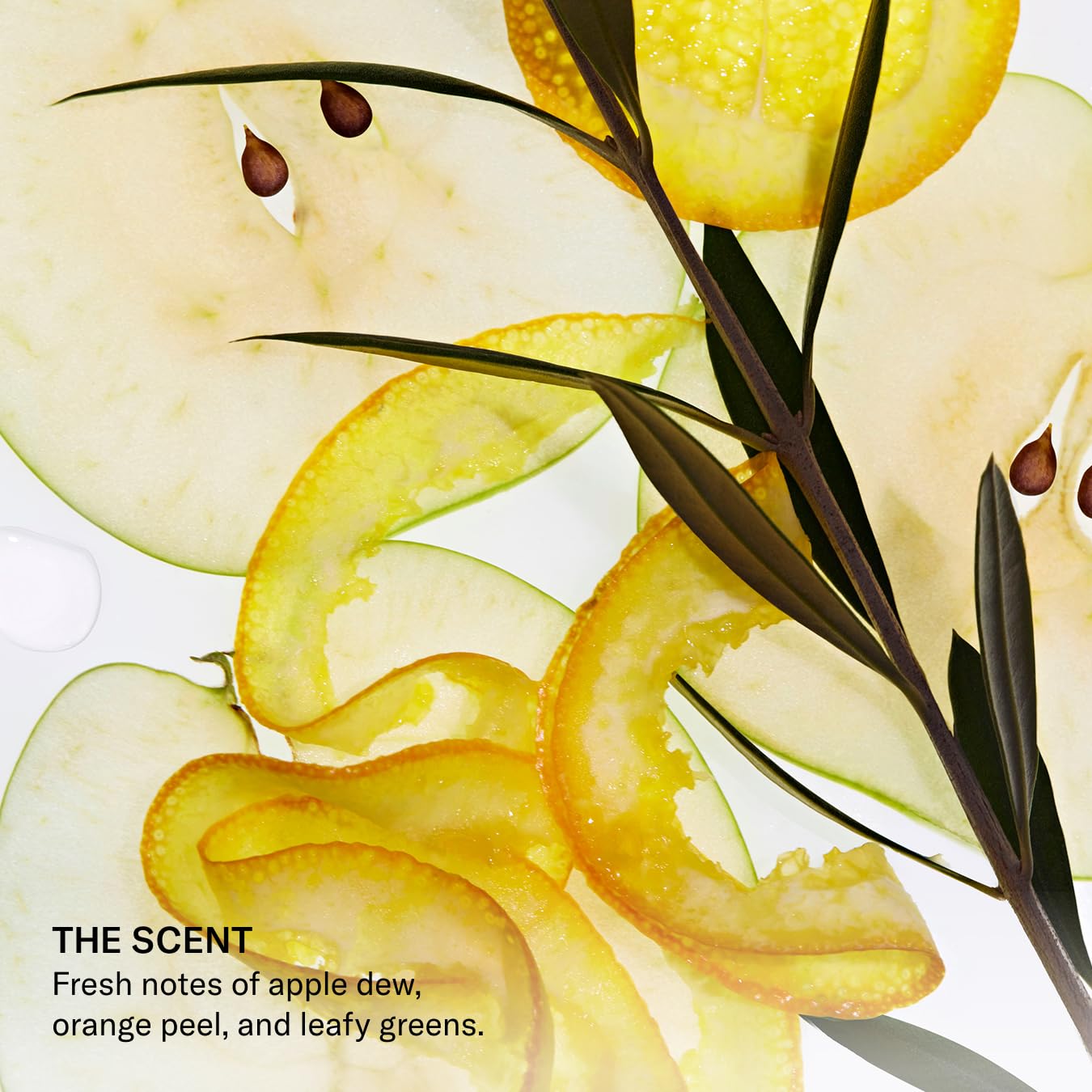 SEEN Shampoo - Scented - Non-Comedogenic Hair Shampoo- Dermatologist-Developed - Safe for Sensitive & Acne Prone Skin - Image 7