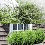 16PCS Plantes artificielles Arbustes artificiels Blé Herbe Greenery Tiges artificielles de verderie Faux plantes d'extérieur pour la maison Jardin Porc boîte à fenêtre,Faux herbes plantes artificielles pour l'intérieur