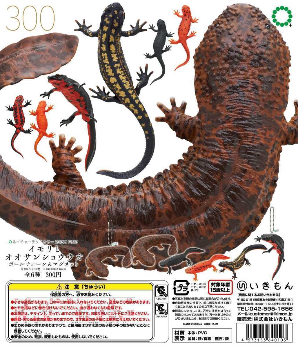 Amazon.co.jp: ネイチャーテクニカラー イモリとオオサンショウウオ