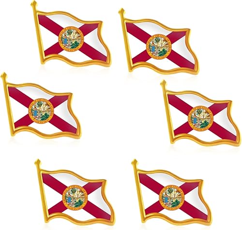 Rhungift Juego de 6 pines de solapa patrióticos de estrella de Estados Unidos a granel, 1 pulgada, recuerdo de la provincia de EE. UU. para regalos