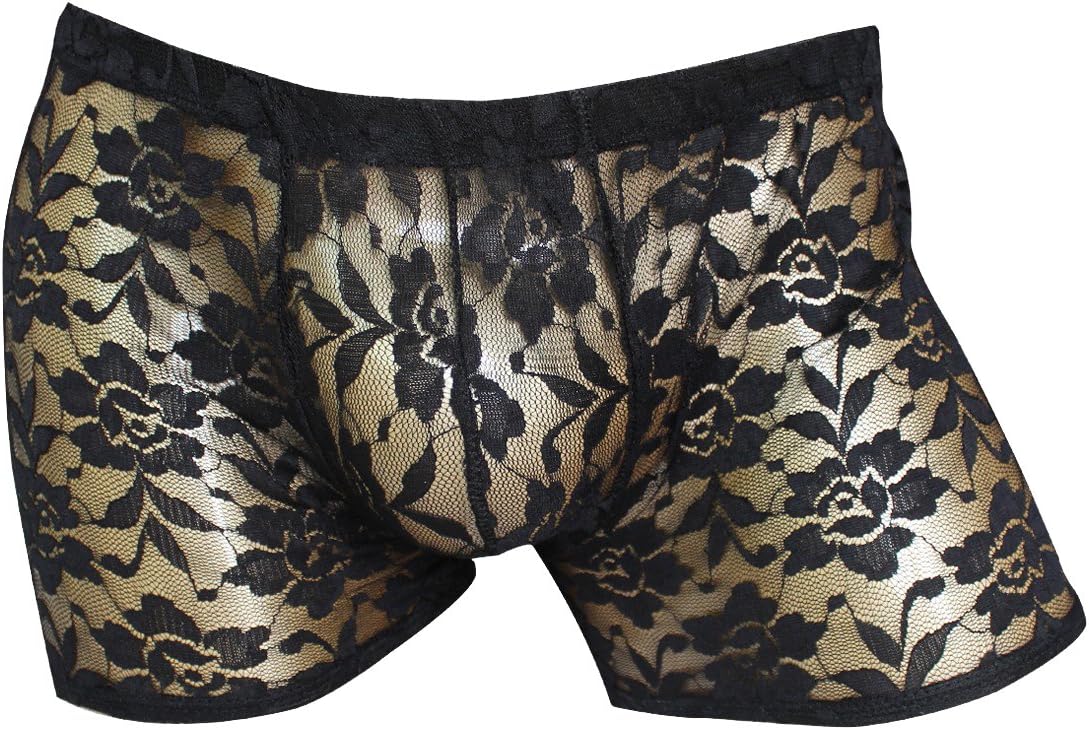 FEESHOW Men's Sexy Sheer Lace Boxer Briefs Transparent See Through Lingerie Sissy Underwear