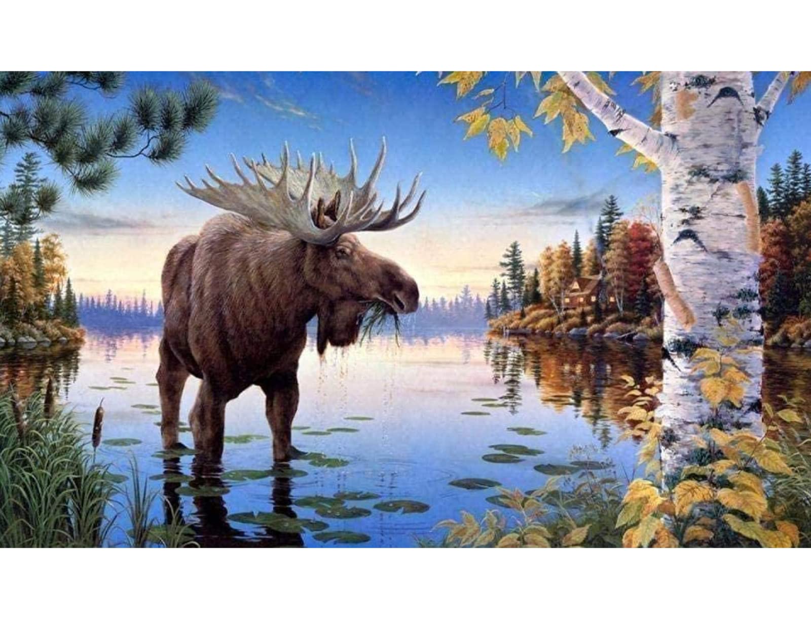 Kit Complet Point De Croix – Cerf Au Bord De La Rivière, 11CT, 40x50cm, Idéal Débutant, Motif Imprimé