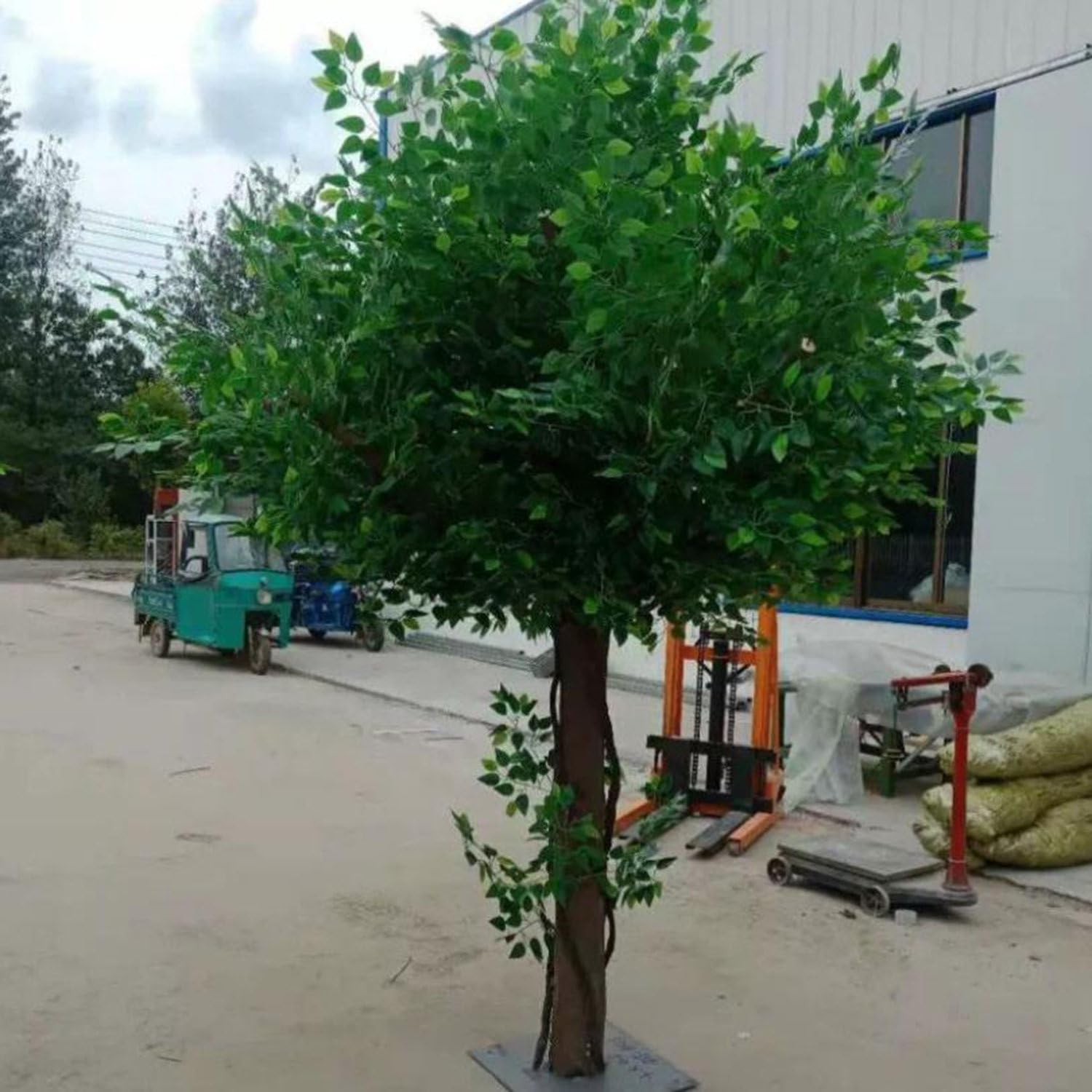 Ficus Avec Pot, Plante Artificielle Sur Pied Pour Bureau Round-1.8x1.5m