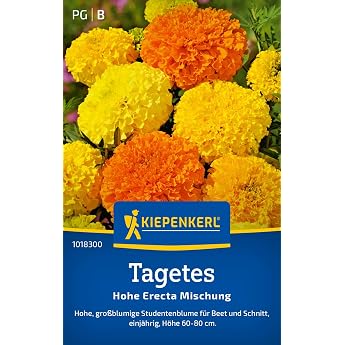 Kiepenkerl 1018300 Day Seed High Erecta Mix - Annual Flower Seeds with a Growth Height of 20 to 30 cm and Content for 50 Plants - Flower Seeds Seeds