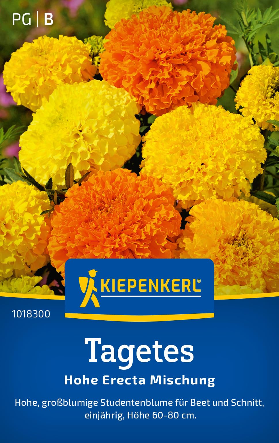 Kiepenkerl Tagetessamen Hohe Erecta Mischung