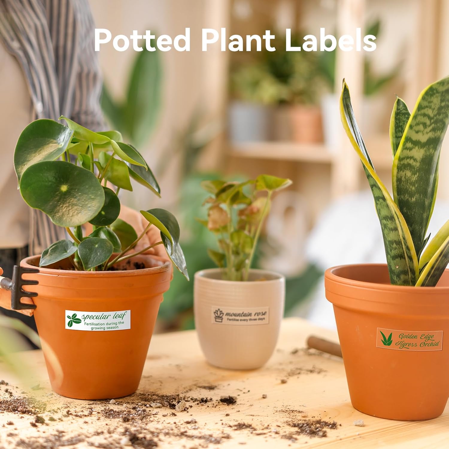 NIIMBOT Plant Labels 13×45mm (0.51'' x 1.77''), for N1(B18) Label Maker, Suitable for Outdoor Indoor Plant Potted Tag, PET Material, Long Storage, Waterproof and High-Temperature Resistance, Clear - Image 4