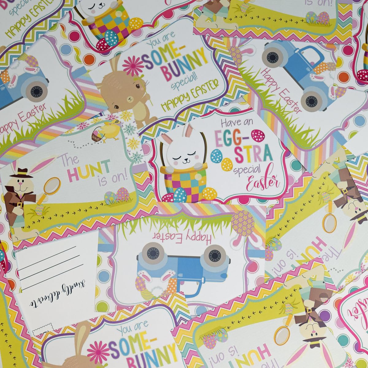 AmandaCreation Tier-Postkarten – 6 Lustige Motive, 10,2 X 15,2 Cm, Zum Selbstbeschriften Für Geburtstag & Grüße