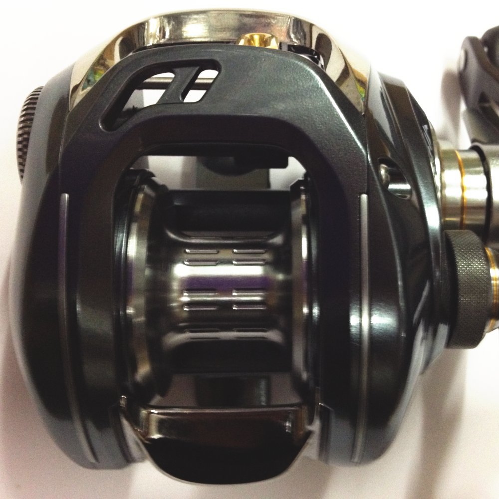 Daiwa Team Daiwa Zillion Limited J Dream 6 3r Jd | Desertcart Fiji