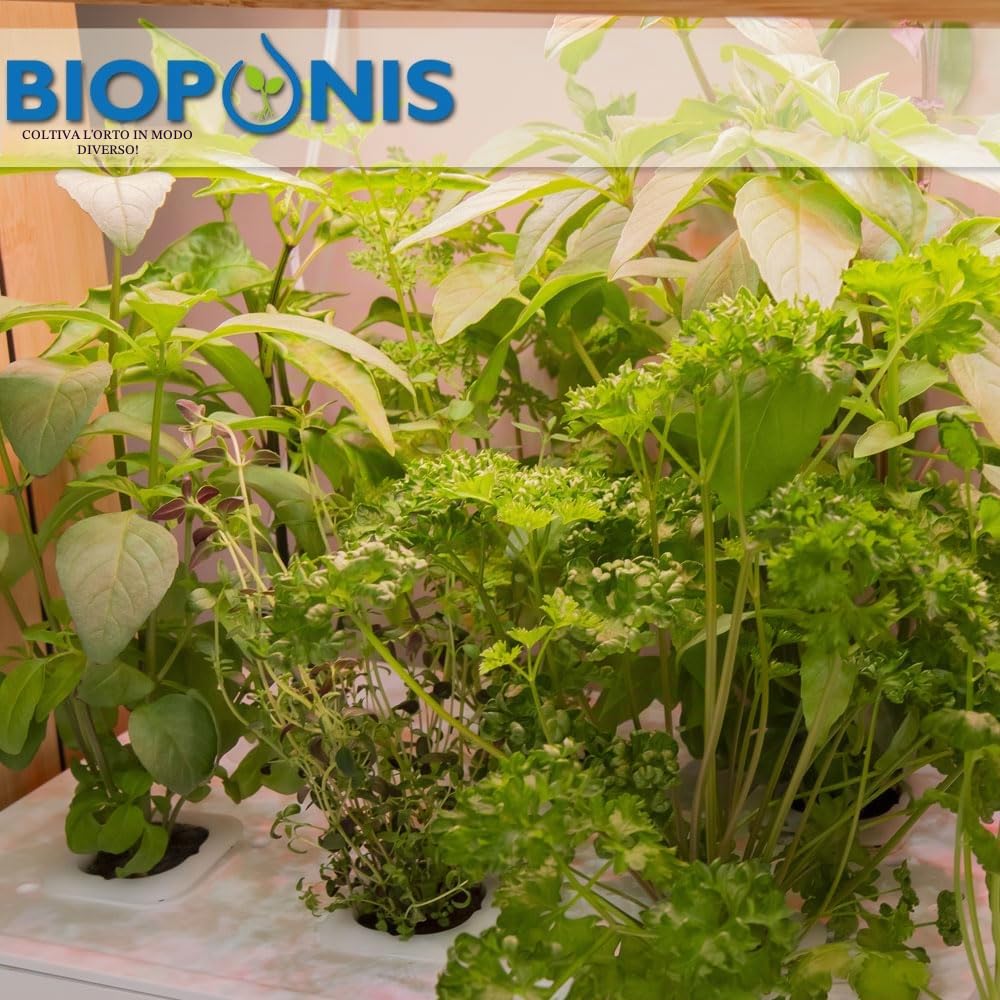 Bamboo 1 - Orto da Interno Idroponica per Piante Aromatiche - 8 Piazzole di Coltivazione