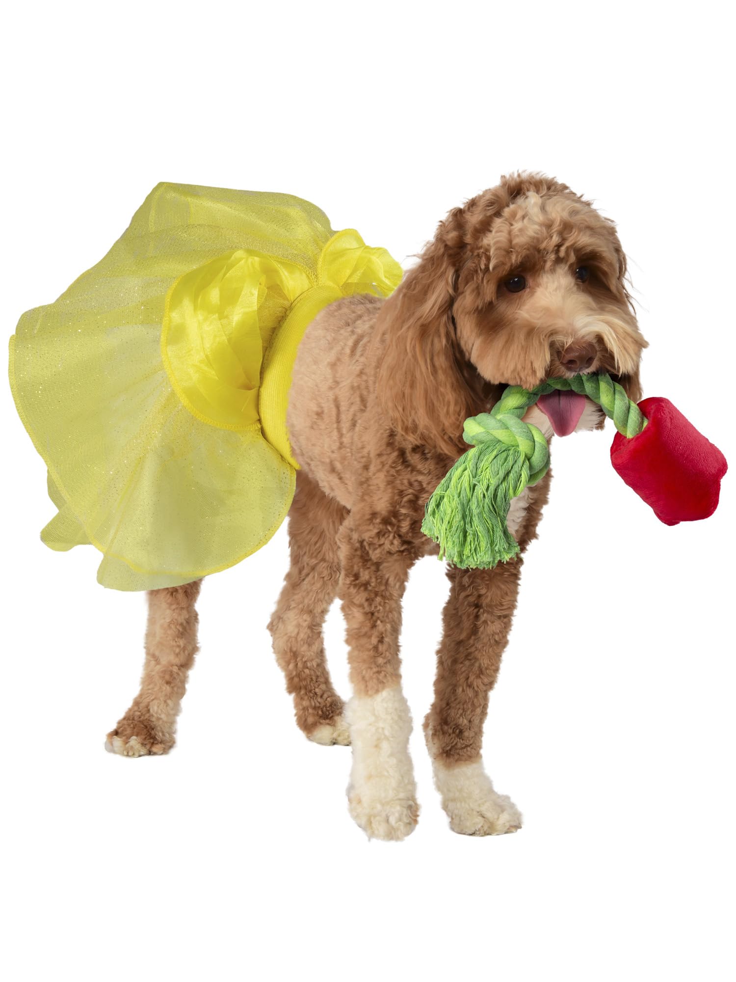 Disney Princess Belle ensemble tutu et jouet pour anniversaire fille