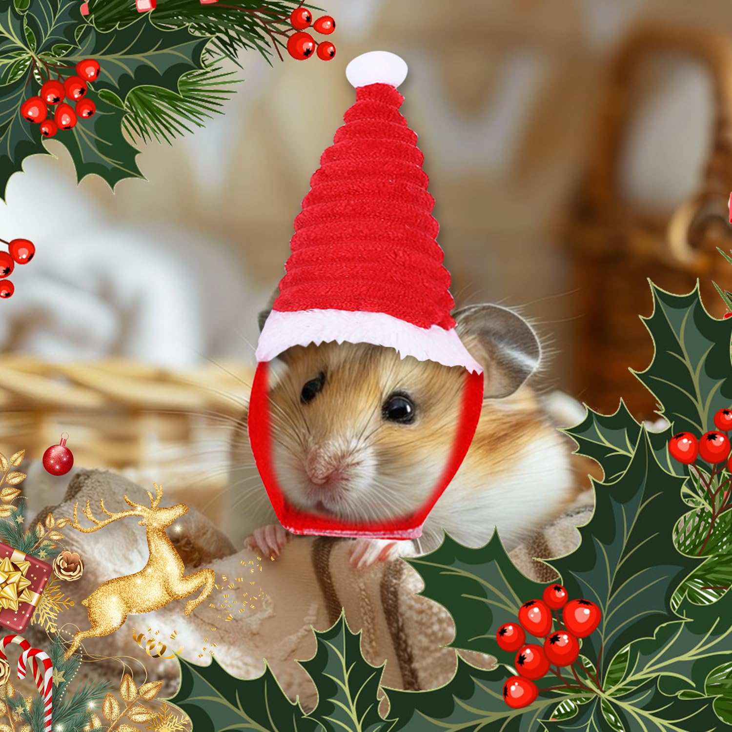 BORFUE 5pcs Hamster Christmas Hat Warm Winter Santa Hat Xmas Small Animal Headwear for Rabbit Hamster Bunny Rats Kitten - Image 3