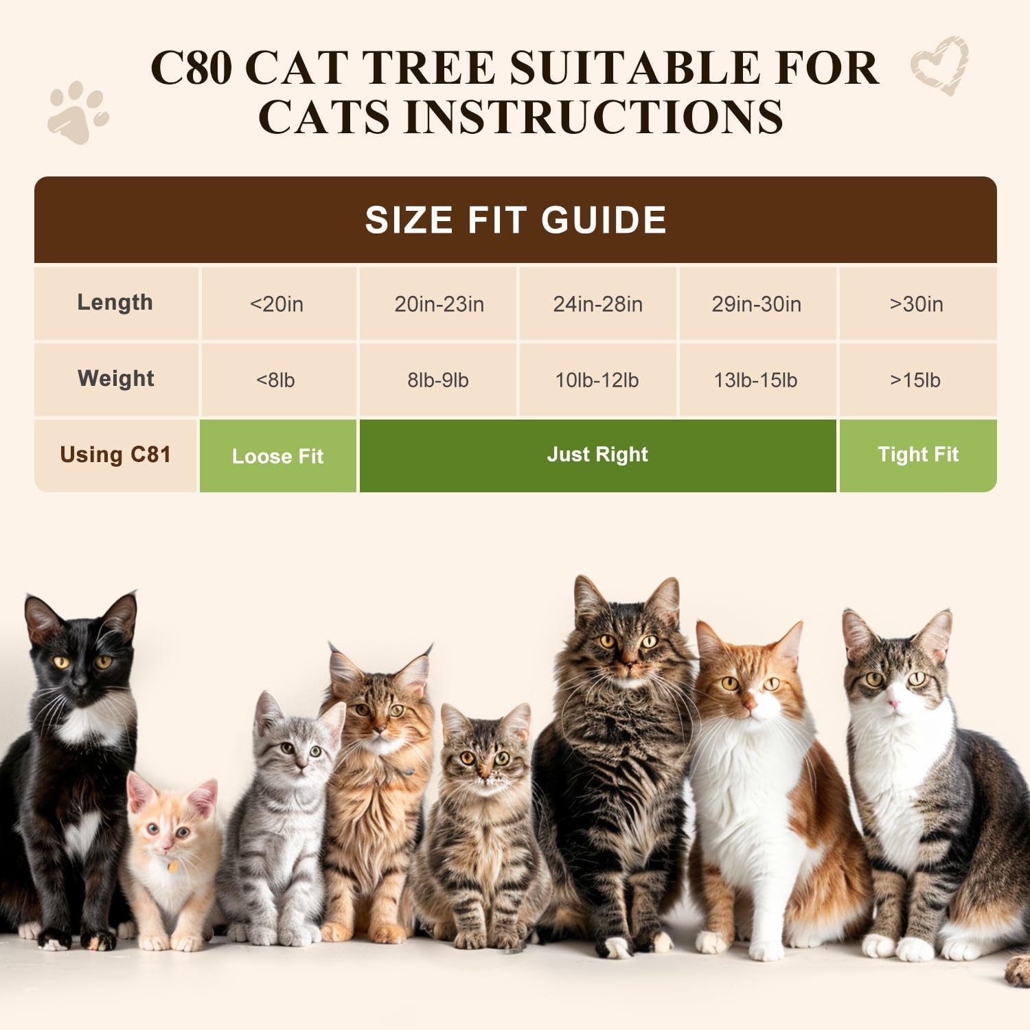 review C81 Max Tall Cat Tree Tower for Large Cats | 81'' Multi-Level Activity Center for Multi-Cat Homes with Hammock, Cozy Perches, Enclosed Condo, Scratching Posts, and Anti-Tip Kit, Light Grey