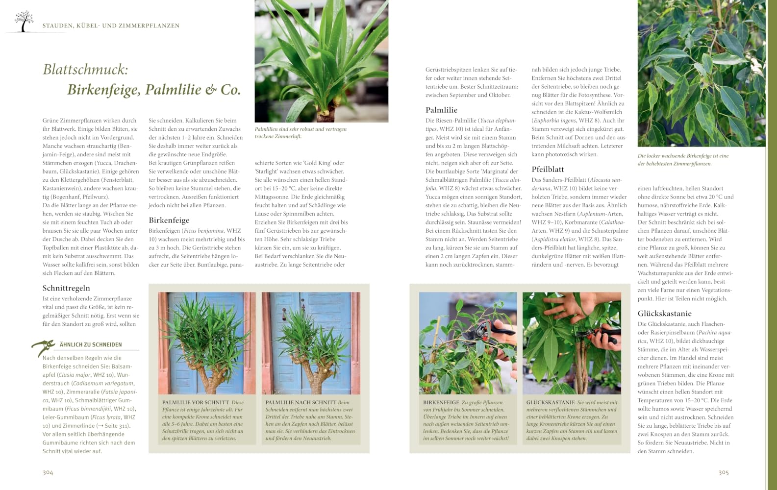 Das große GU Praxishandbuch Pflanzenschnitt: Pflanzen richtig schneiden – Tipps für Obstbäume, Ziergehölze und Stauden (GU Gartenpraxis)