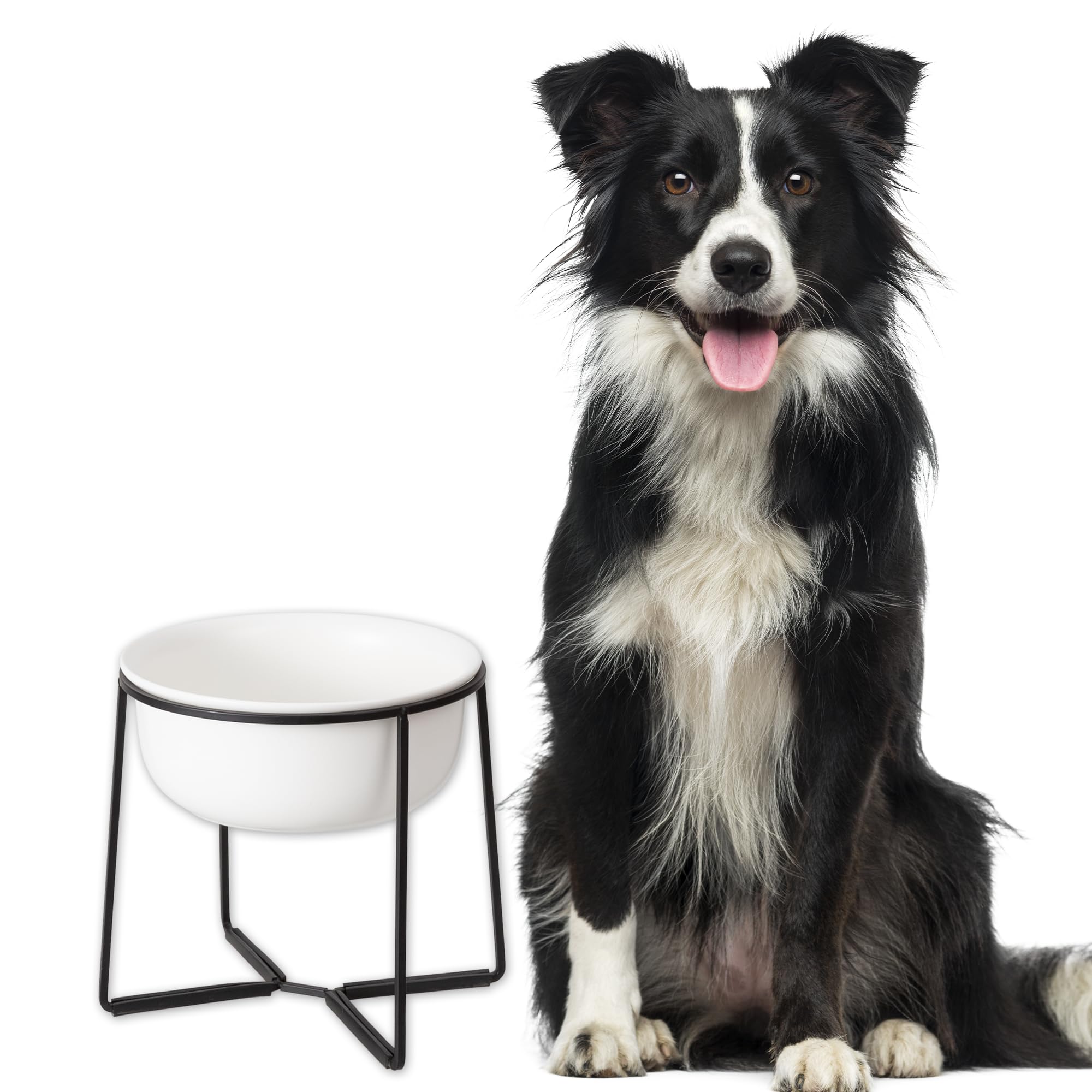 Ciotola Rialzata per Cani in Ceramica - Ciotola per Cibo o Acqua con Supporto in Metallo - Ideale per Cani di Taglia Media e Grande - 1600 ml - Beige