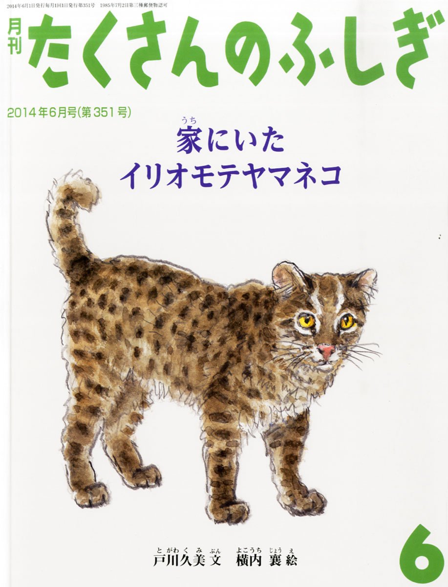 家にいたイリオモテヤマネコ 月刊 たくさんのふしぎ 14年 06月号 戸川久美 横内襄 本 通販 Amazon 家にいたイリオモテヤマネコ 月刊 たくさんのふしぎ 14年 06月号 戸川久美 横内襄 本 通販 Amazon